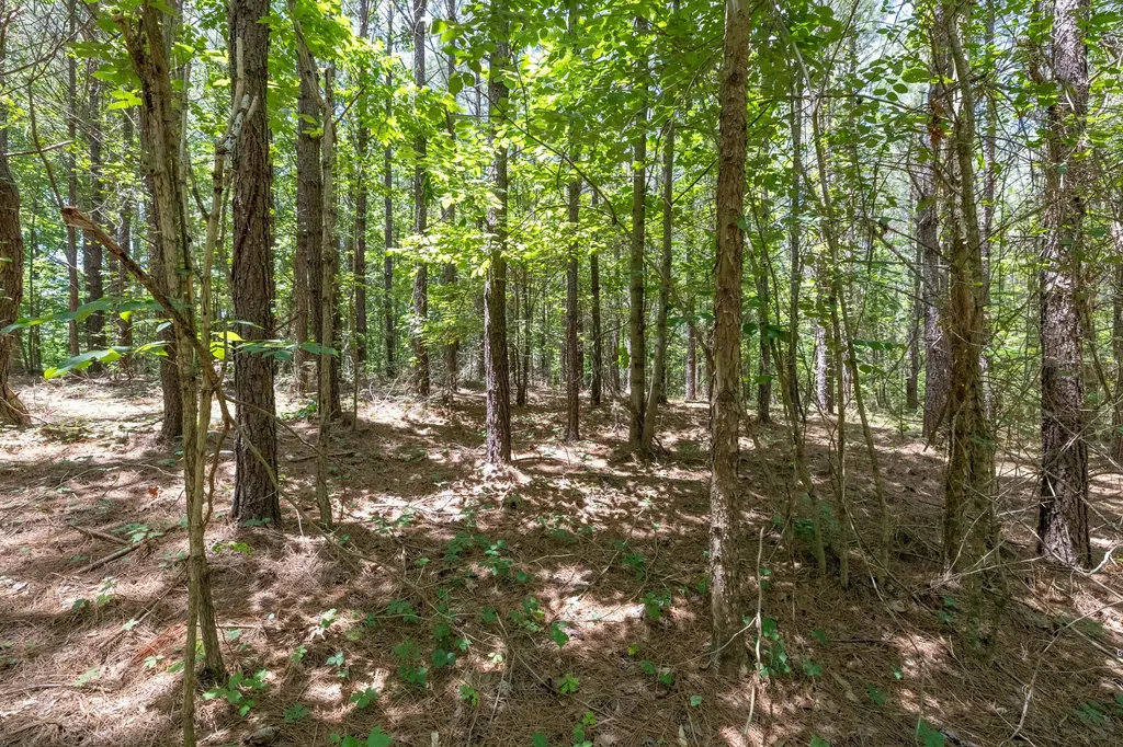 0 White Oak Road Stewart TN 37175