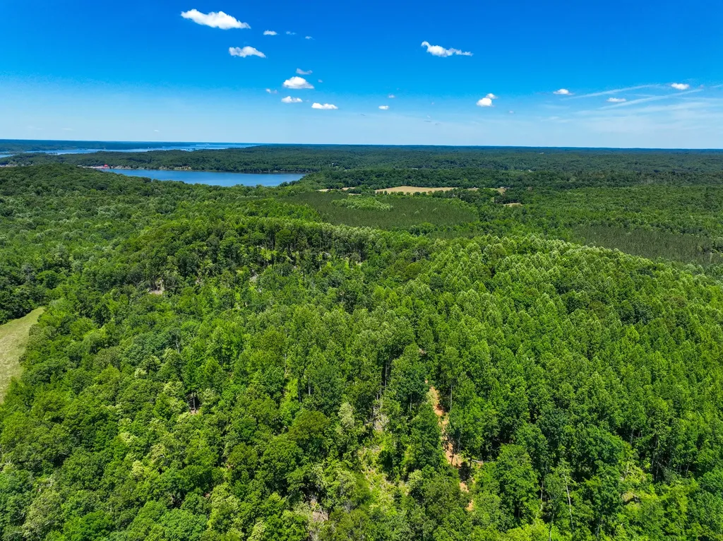 0 White Oak Road Stewart TN 37175