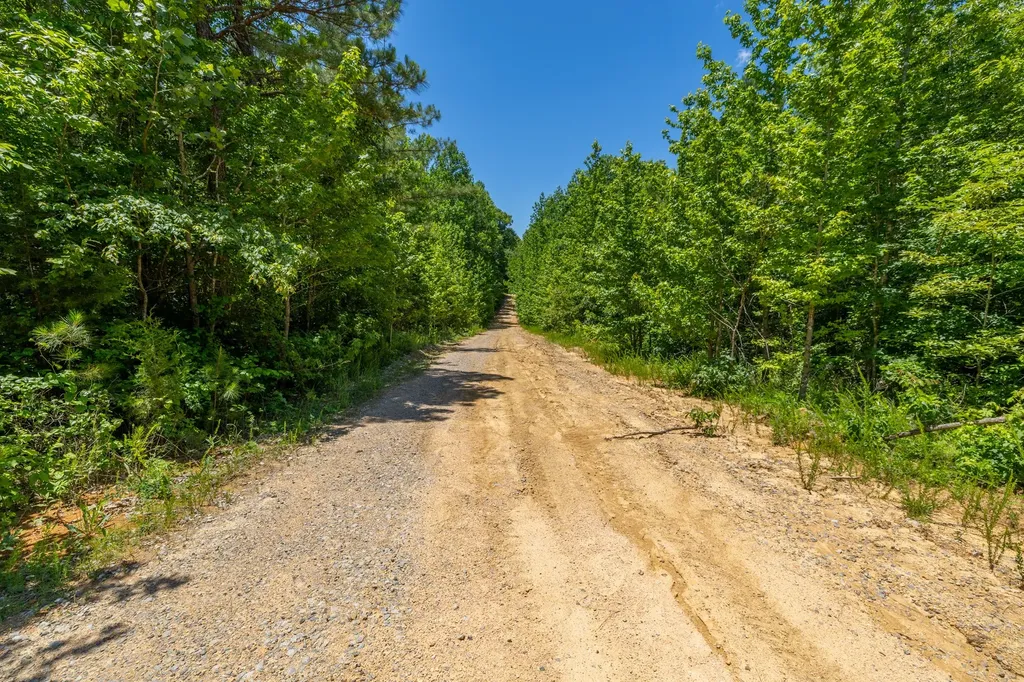 0 White Oak Road Stewart TN 37175