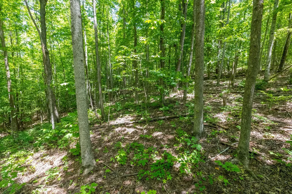 0 White Oak Road Stewart TN 37175