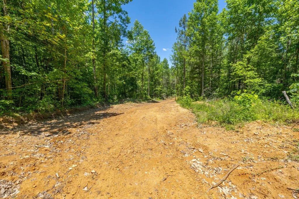 0 White Oak Road Stewart TN 37175