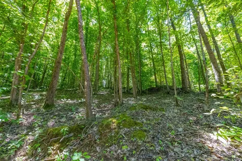0 White Oak Road Stewart TN 37175