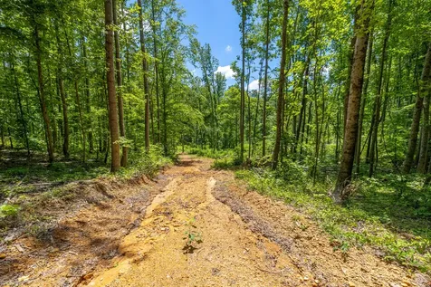 0 White Oak Road Stewart TN 37175
