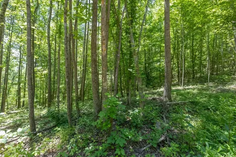 0 White Oak Road Stewart TN 37175