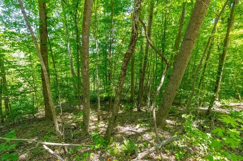 0 White Oak Road Stewart TN 37175
