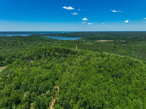 0 White Oak Road Stewart TN 37175