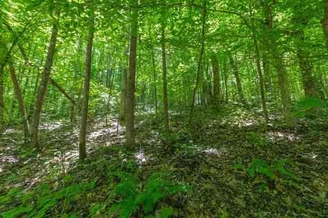 0 White Oak Road Stewart TN 37175