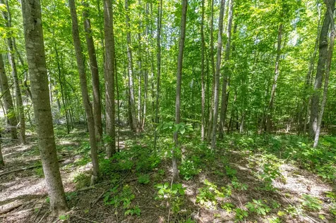 0 White Oak Road Stewart TN 37175