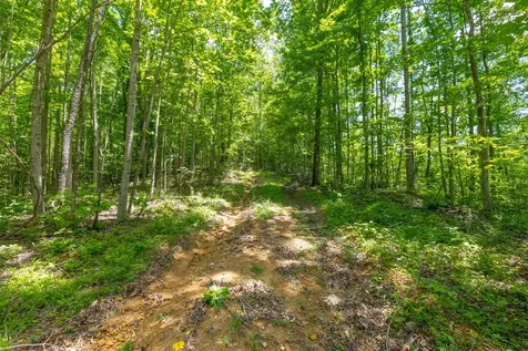 0 White Oak Road Stewart TN 37175