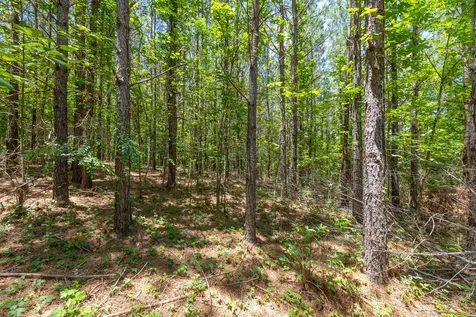 0 White Oak Road Stewart TN 37175