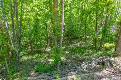 0 White Oak Road Stewart TN 37175