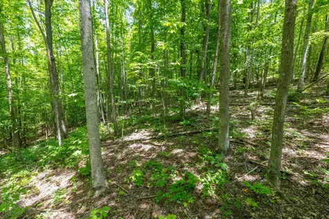 0 White Oak Road Stewart TN 37175