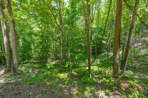 0 White Oak Road Stewart TN 37175
