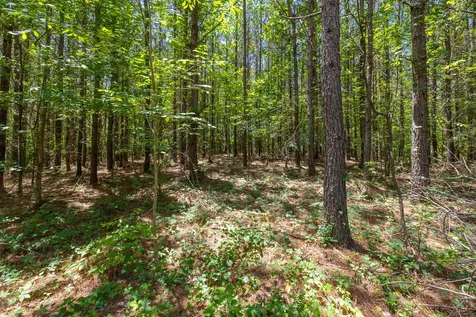 0 White Oak Road Stewart TN 37175