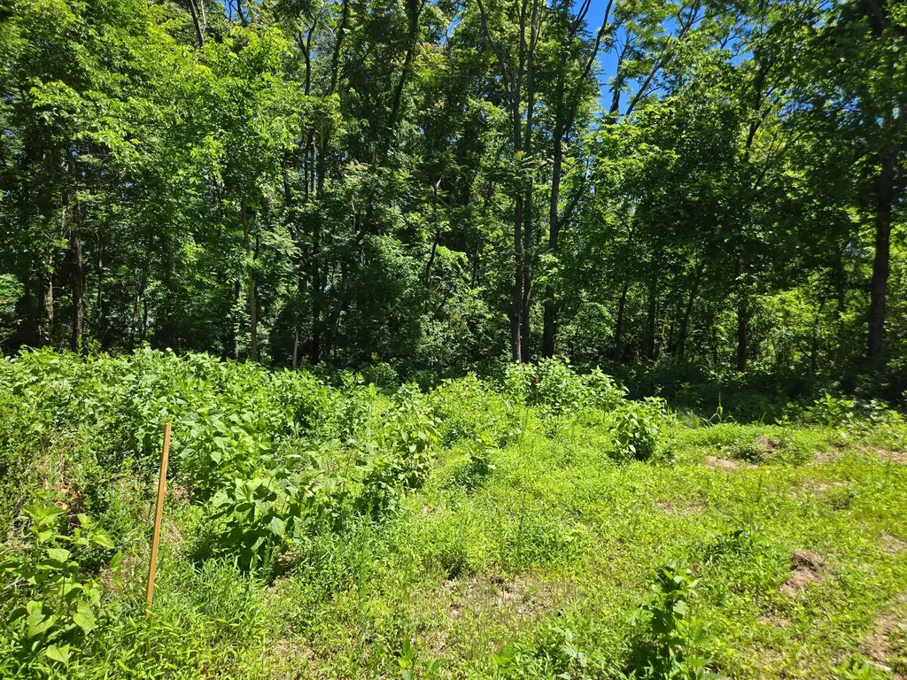 18 Dry Creek Road Goodlettsville TN 37072