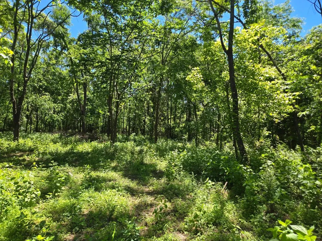 18 Dry Creek Road Goodlettsville TN 37072