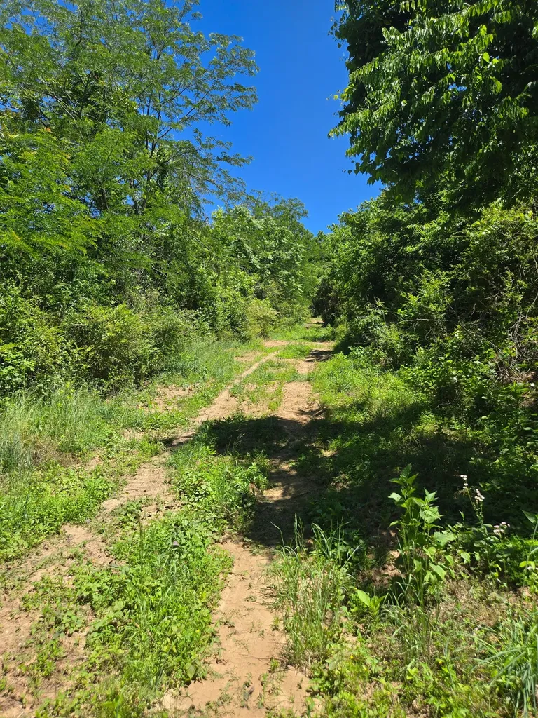 18 Dry Creek Road Goodlettsville TN 37072