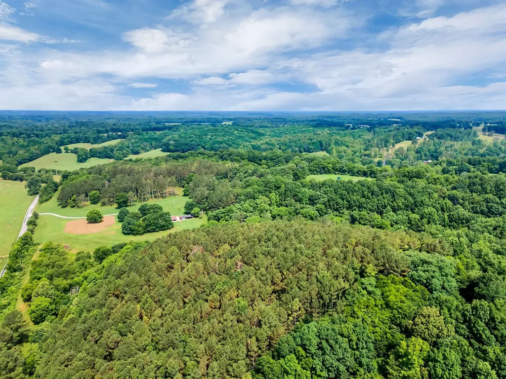 1764 Wray Branch Road Minor Hill TN 38473