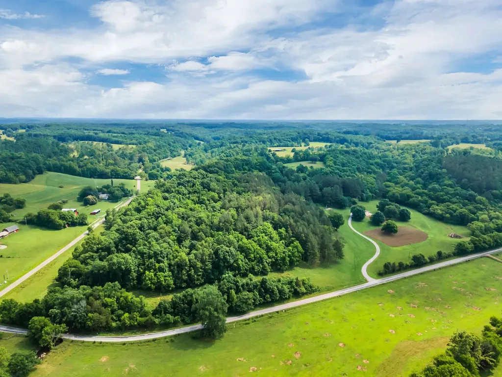 1764 Wray Branch Road Minor Hill TN 38473