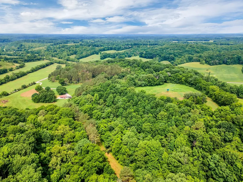 1764 Wray Branch Road Minor Hill TN 38473