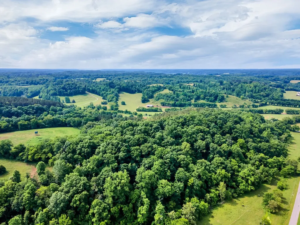 1764 Wray Branch Road Minor Hill TN 38473