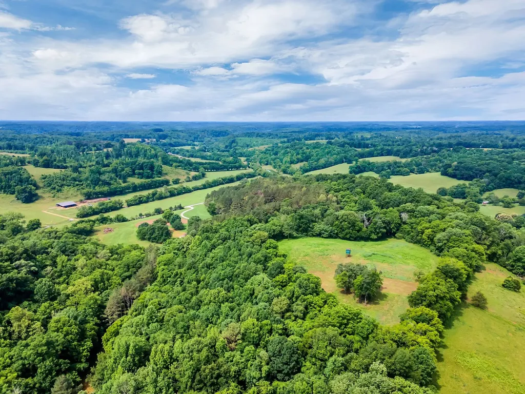 1764 Wray Branch Road Minor Hill TN 38473