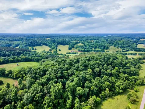 1764 Wray Branch Road Minor Hill TN 38473