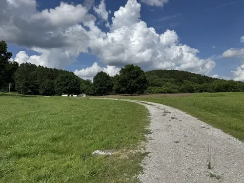 1764 Wray Branch Road Minor Hill TN 38473