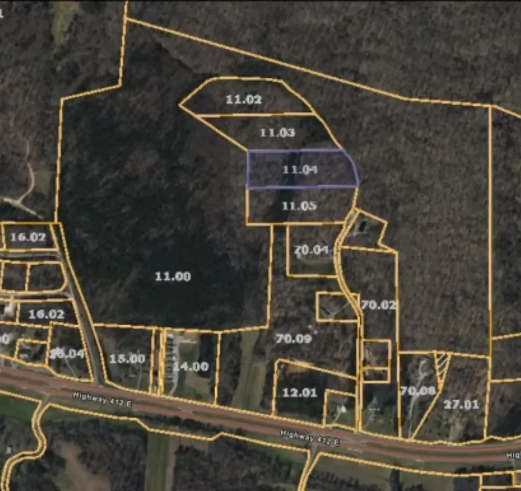 0 Todd Lane Lexington TN 38351