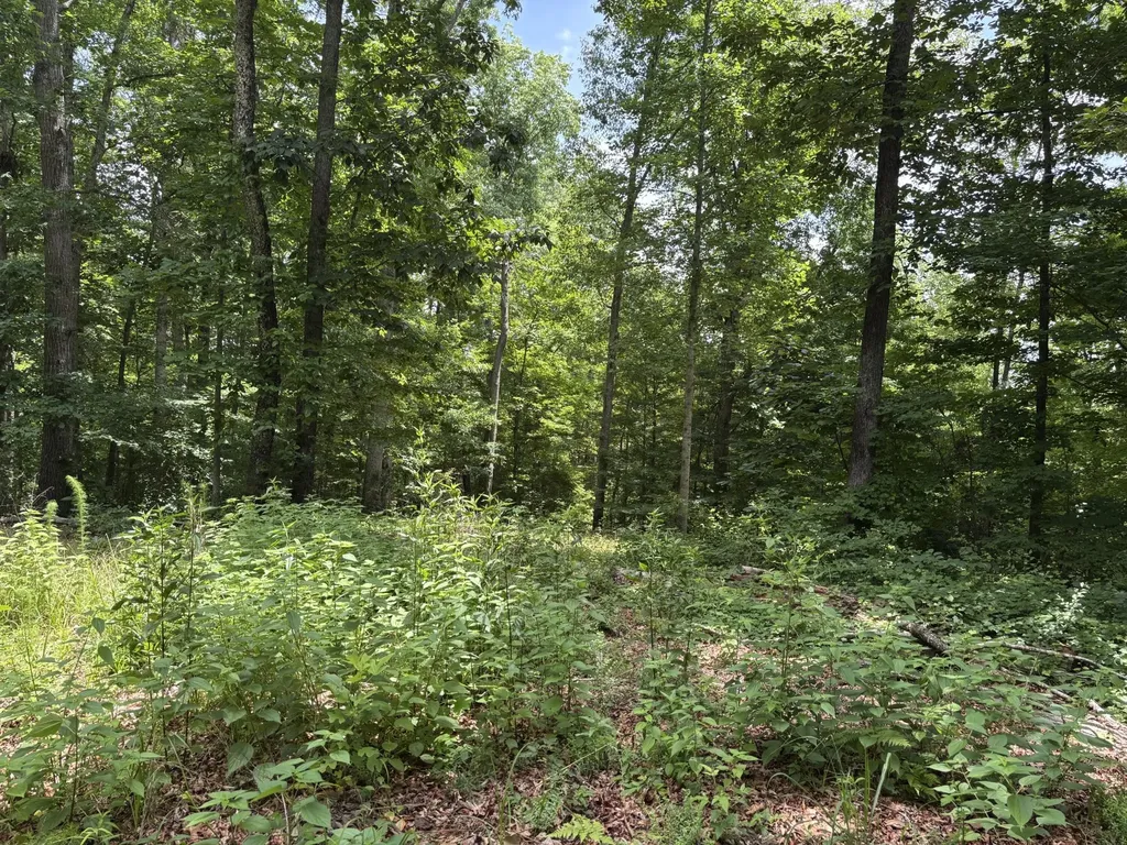 236 County Road 3 Riceville TN 37370