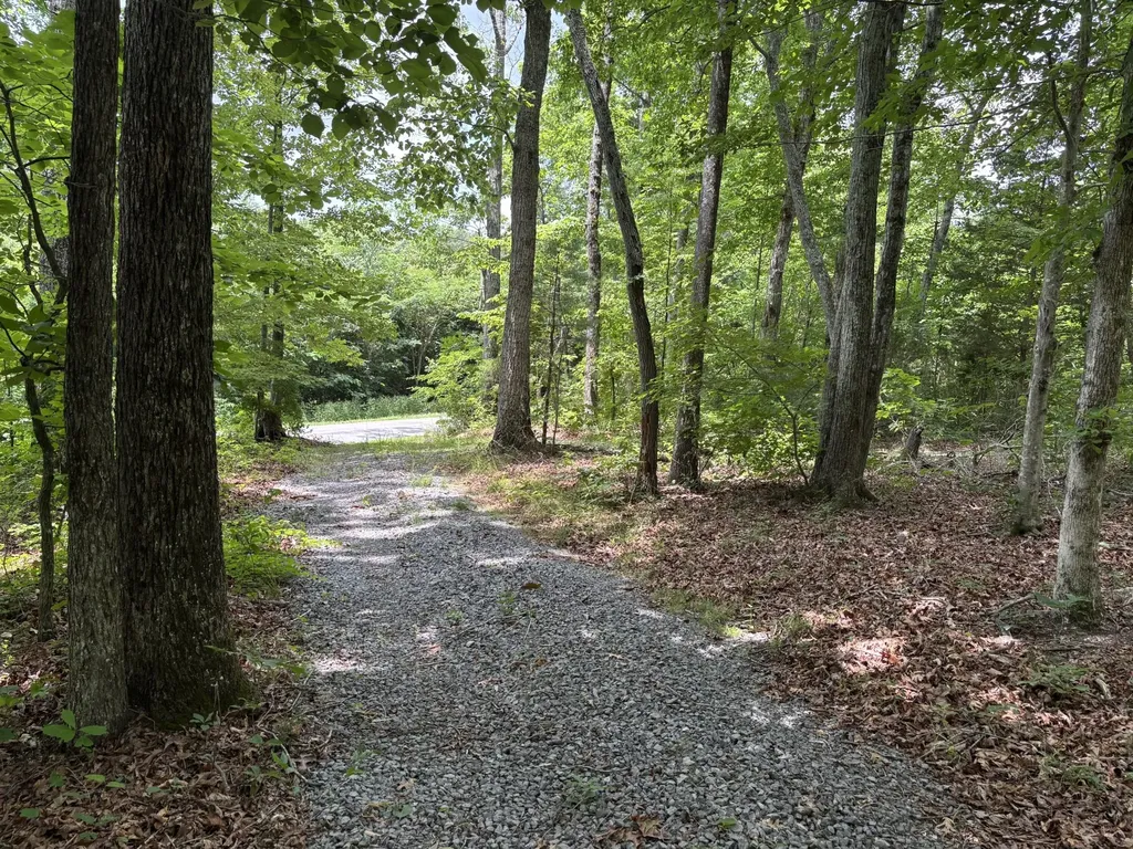 236 County Road 3 Riceville TN 37370