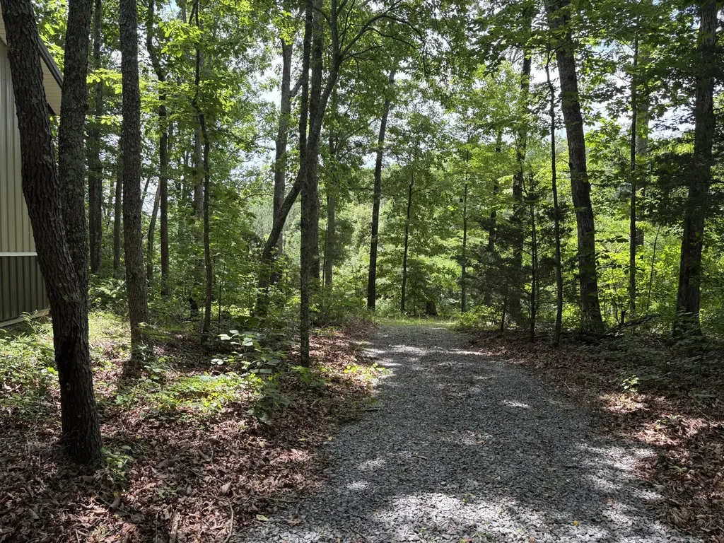 236 County Road 3 Riceville TN 37370