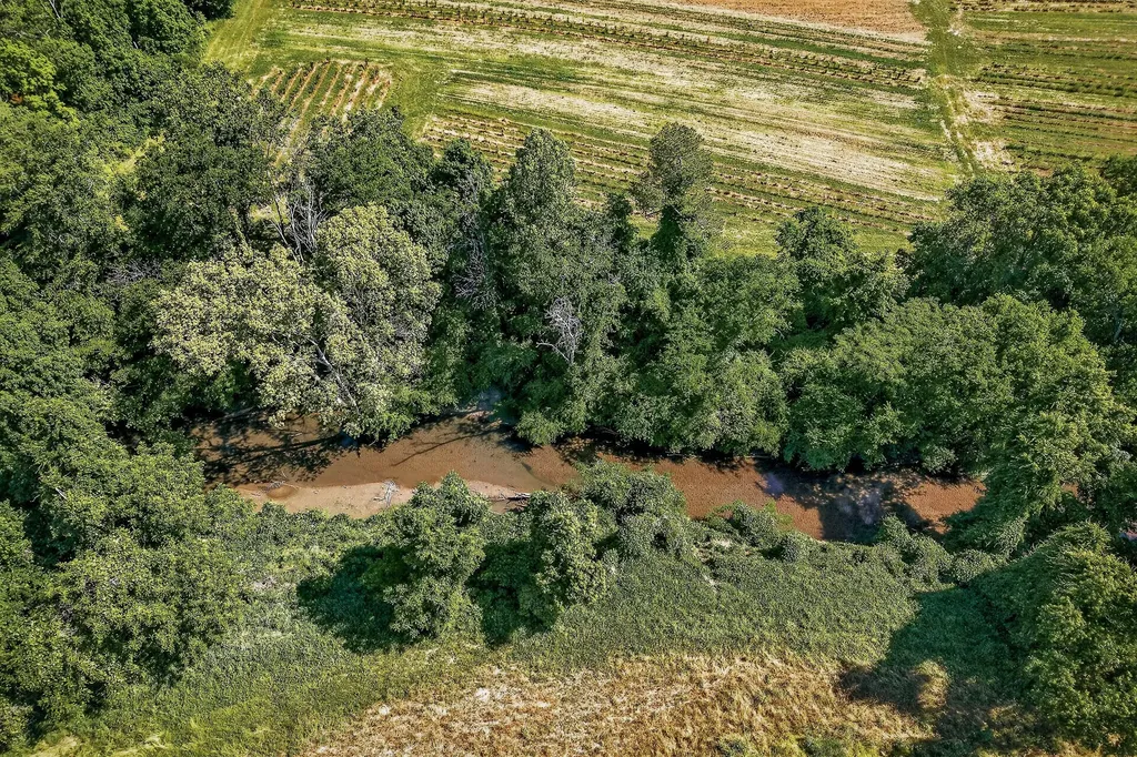 4 Hills Creek Road Mcminnville TN 37110