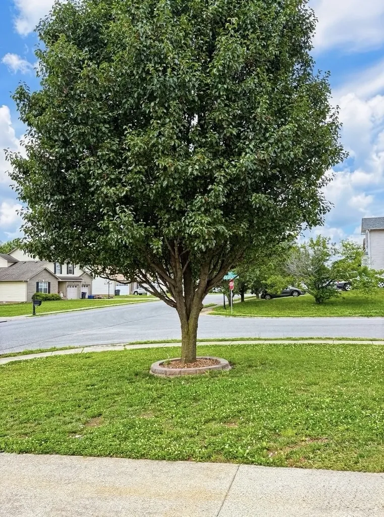 1569 Apache Way Clarksville TN 37042