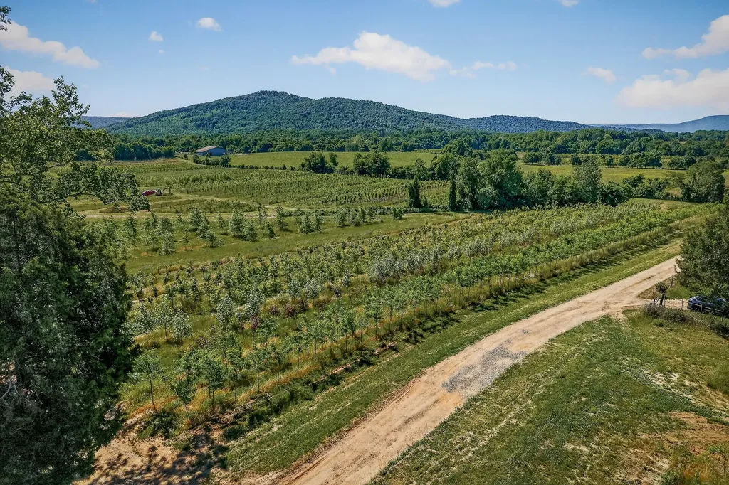 1 Hills Creek Road Mcminnville TN 37110