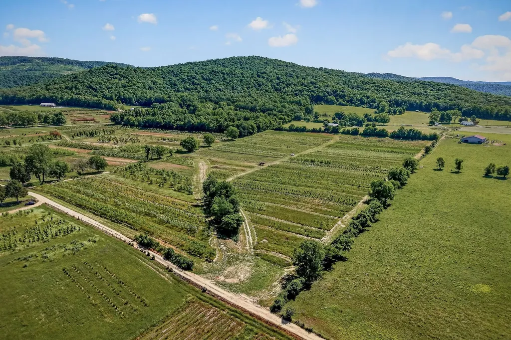 1 Hills Creek Road Mcminnville TN 37110