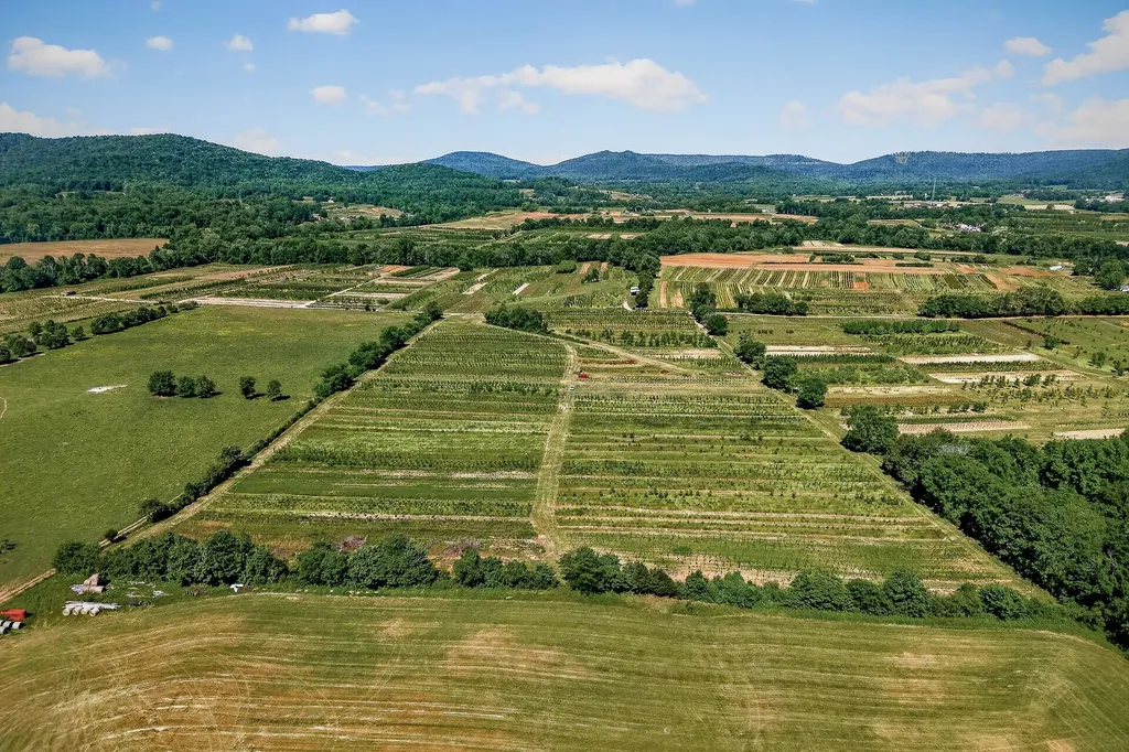 1 Hills Creek Road Mcminnville TN 37110