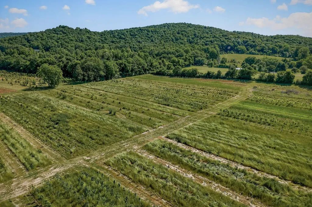 1 Hills Creek Road Mcminnville TN 37110