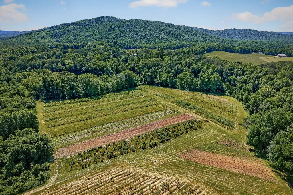 3 Hills Creek Road Mcminnville TN 37110