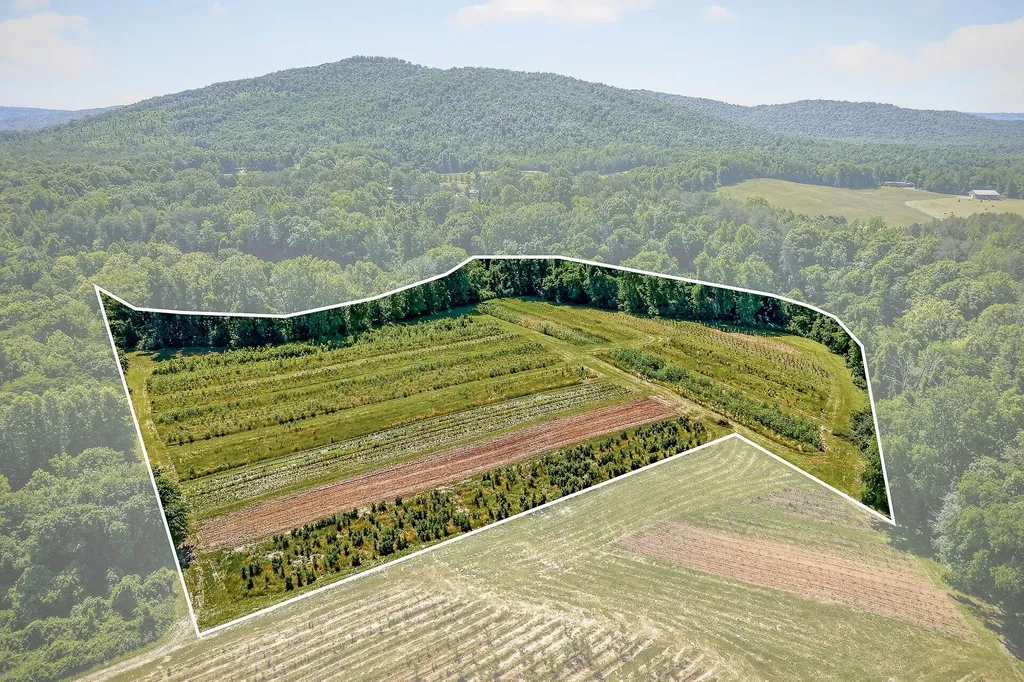 3 Hills Creek Road Mcminnville TN 37110