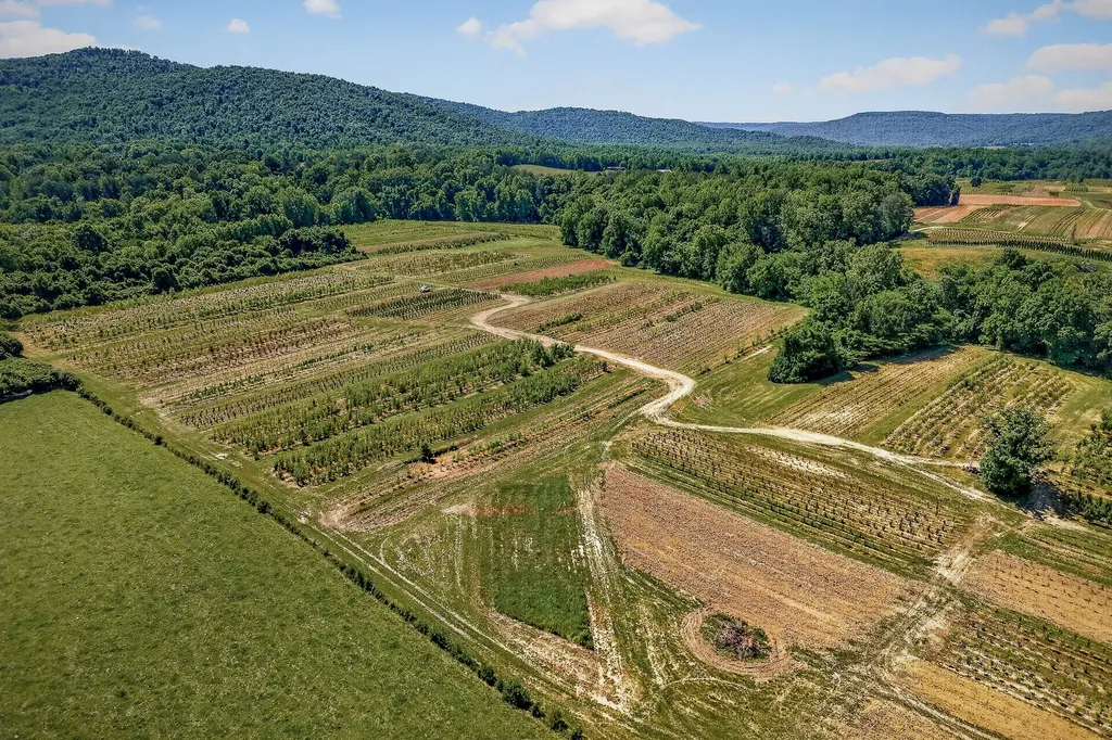 3 Hills Creek Road Mcminnville TN 37110