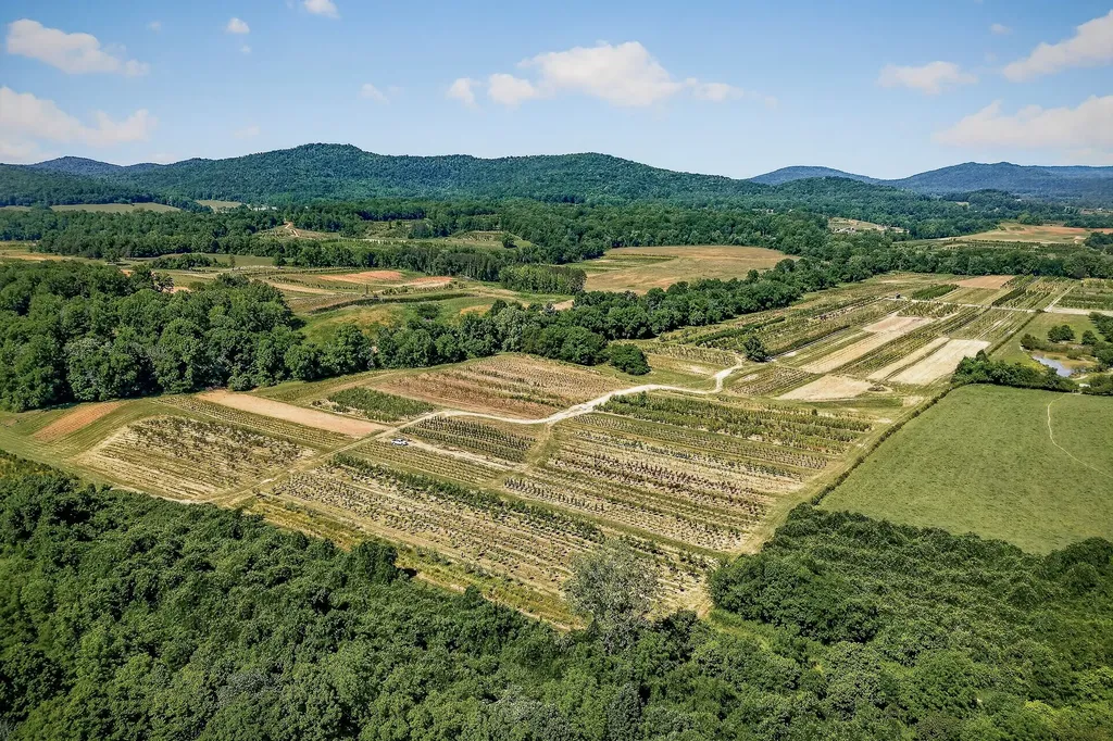 3 Hills Creek Road Mcminnville TN 37110