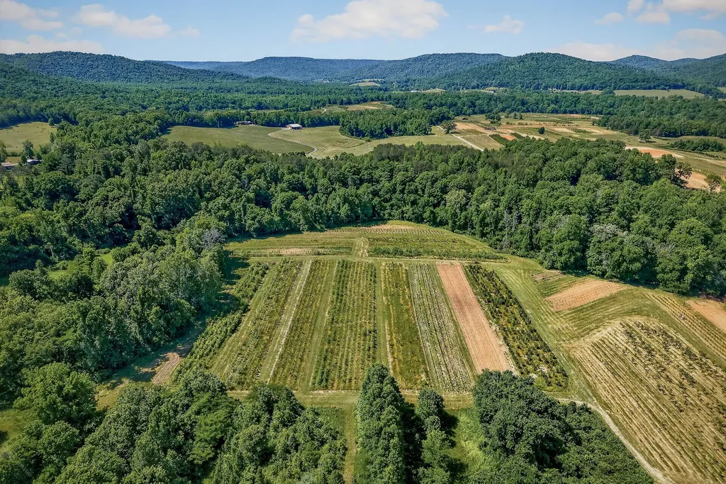 3 Hills Creek Road Mcminnville TN 37110