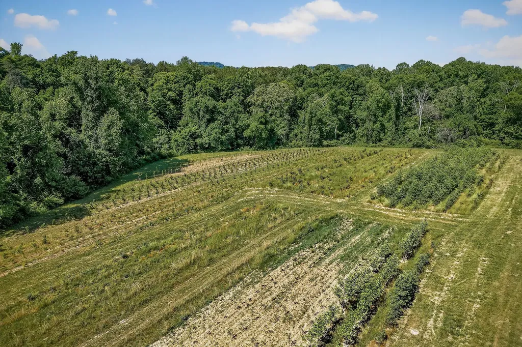 3 Hills Creek Road Mcminnville TN 37110