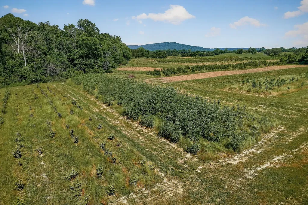 3 Hills Creek Road Mcminnville TN 37110