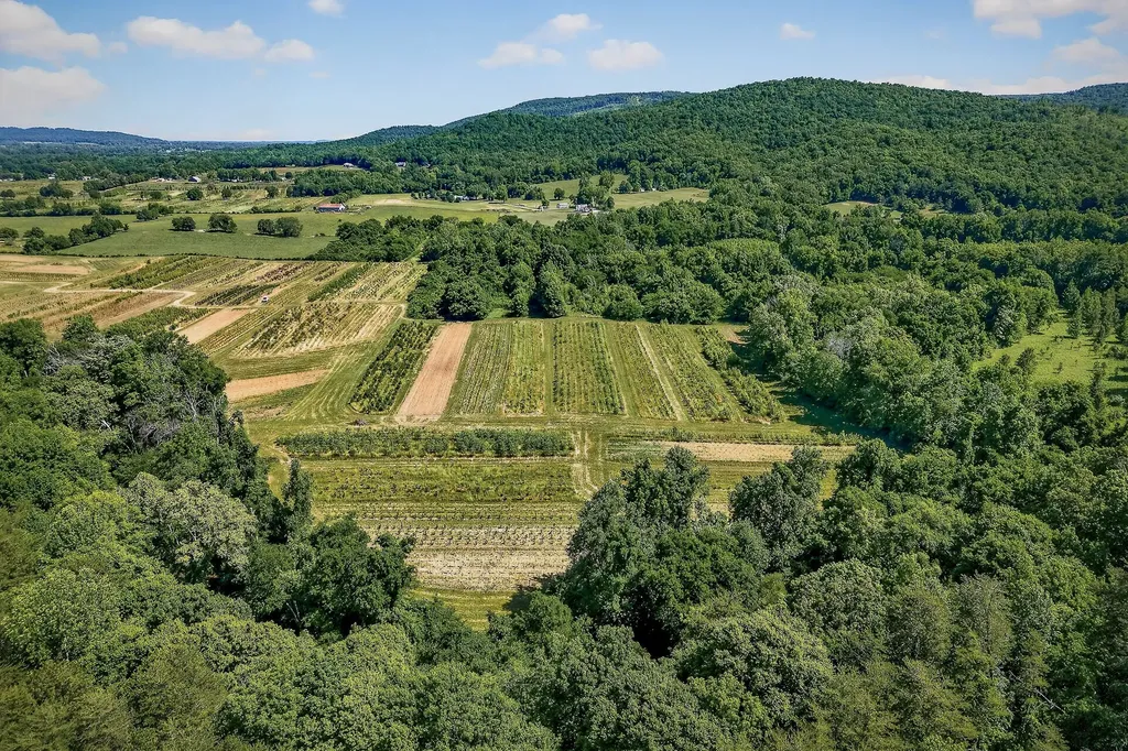3 Hills Creek Road Mcminnville TN 37110