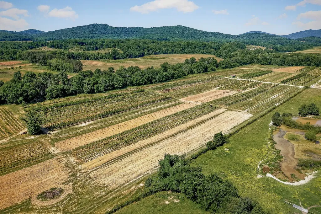 2 Hills Creek Road Mcminnville TN 37110