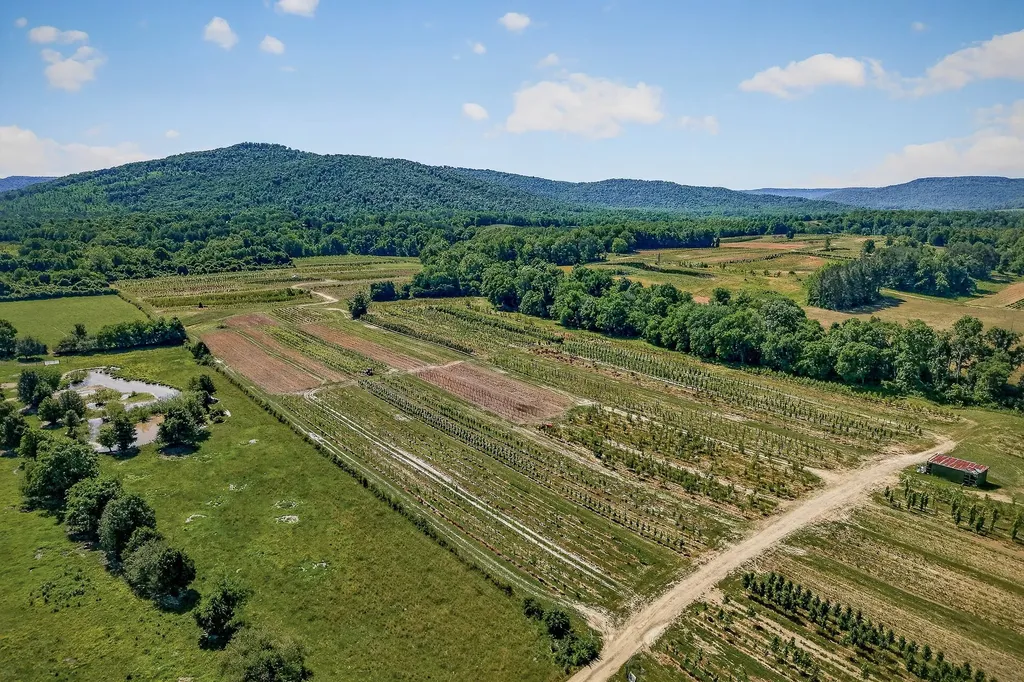 2 Hills Creek Road Mcminnville TN 37110