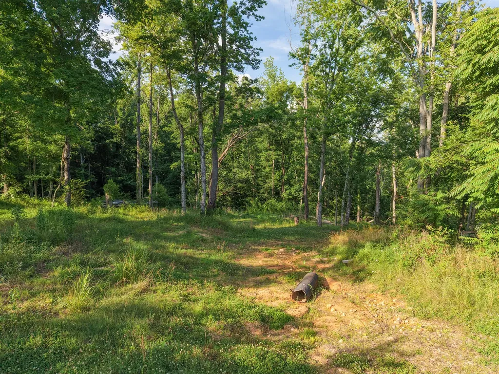 1098 Ewing Albright Road Ashland City TN 37015