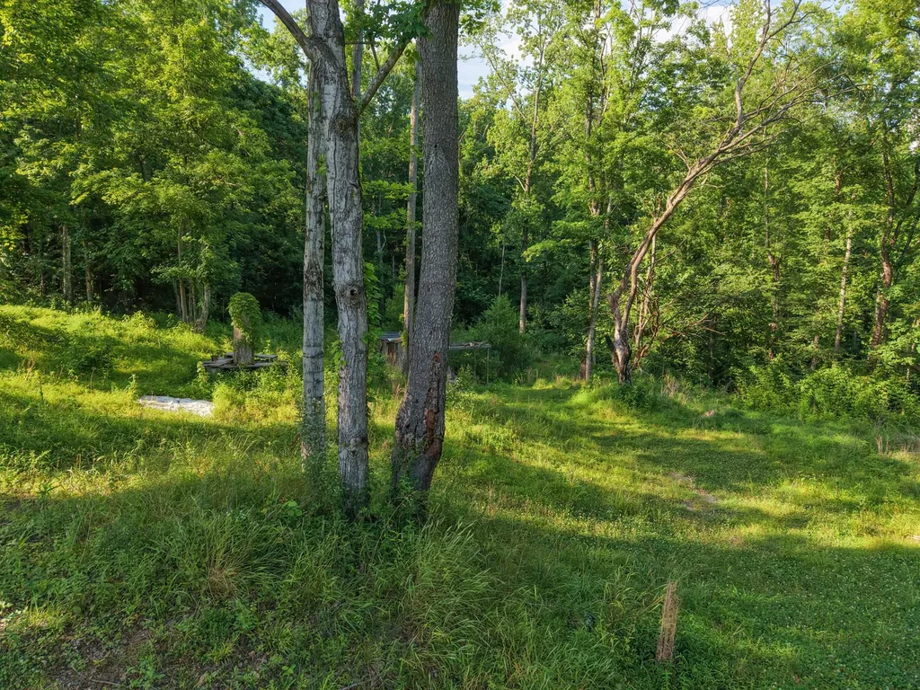 1098 Ewing Albright Road Ashland City TN 37015
